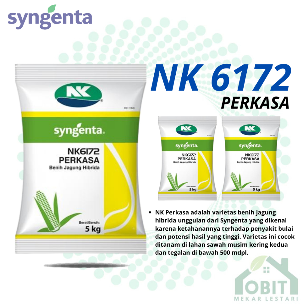 Benih Jagung NK 212 Original - 1Kg ORIGINAL SYNGENTA NK PERKASA