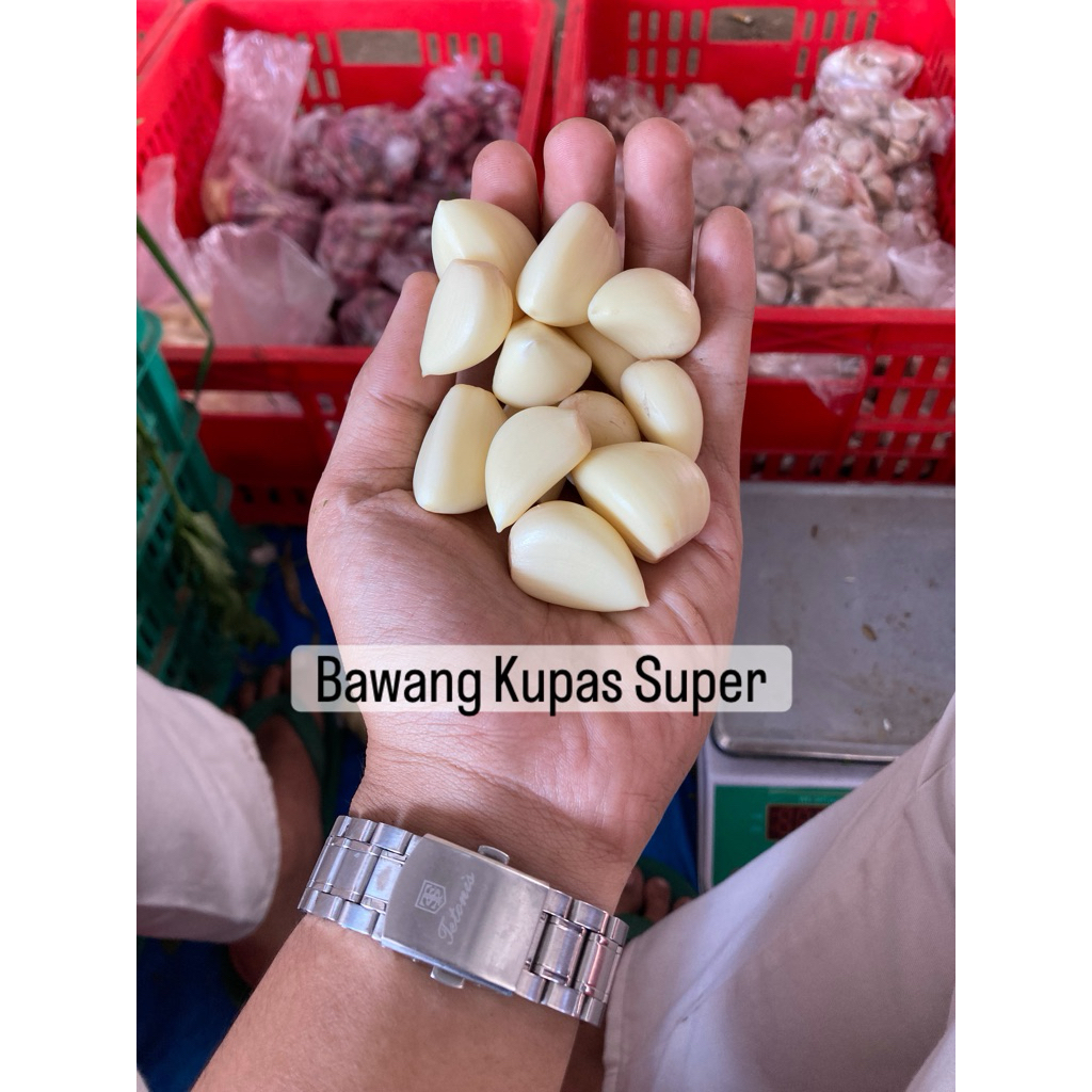 

bawang kating kupas fresh