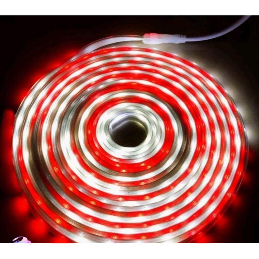 LAMPU LED STRIP EVATECH MERAH PUTIH LAMPU SELANG LED LAMPU STRIP