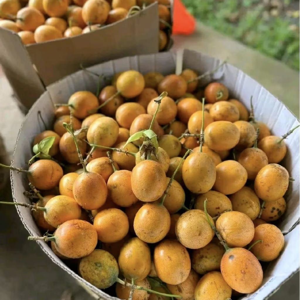 

Markisa madu manis segar dan Fressss isi 500 gr