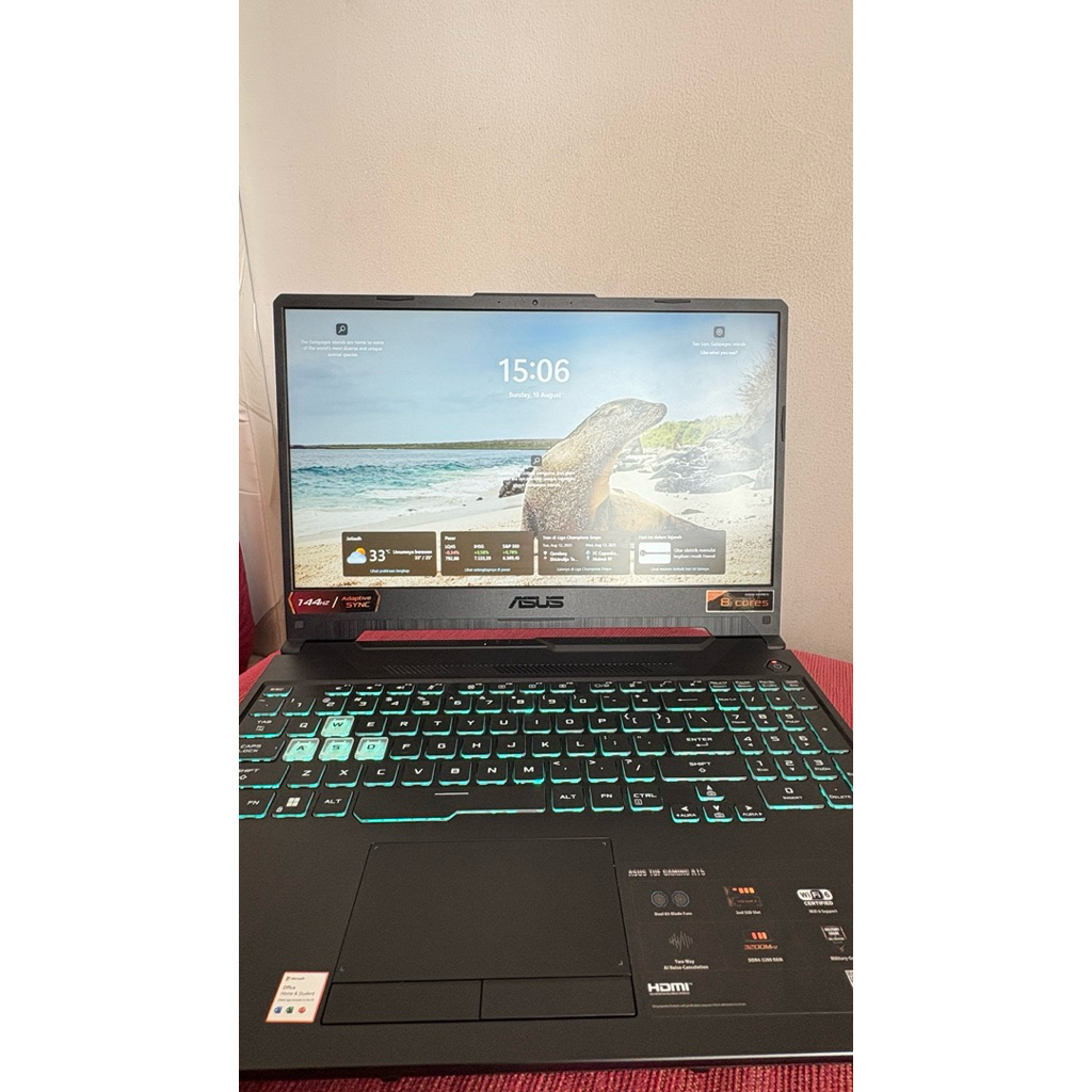 ASUS Gaming TUF A15 FA506QM Ryzen 7 5800H RTX 3060 16GB 512GB 144Hz - RAM 8Ub Black