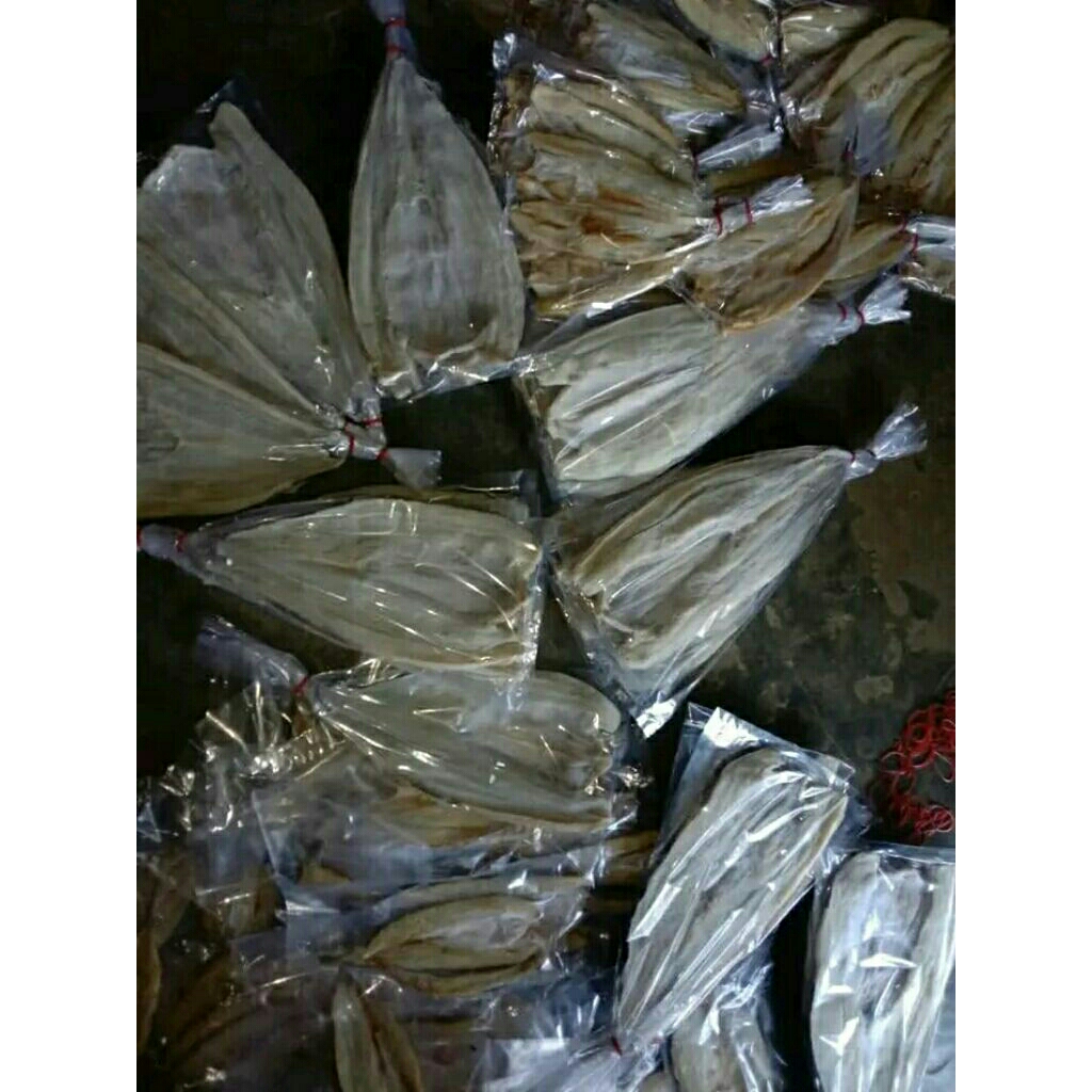 

Jual Aneka Ikan Asin Jambal Gabus Kili Kili DLL