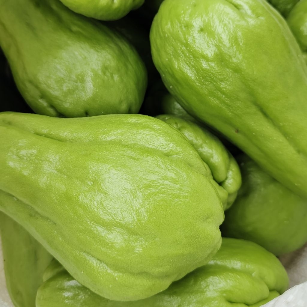 

Labu Siam Sayur Fresh Uk 3kg/5kg