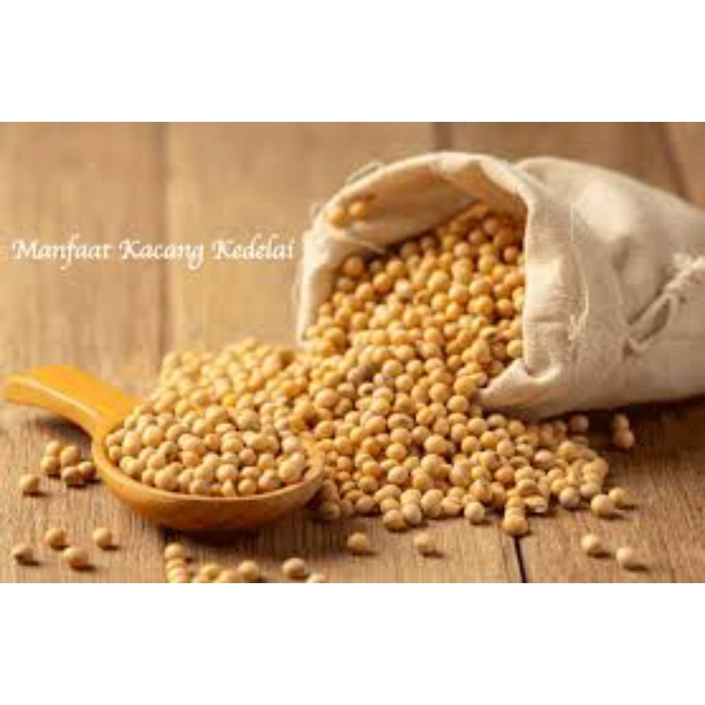 

kedelai lokal 1 kg masih fresh