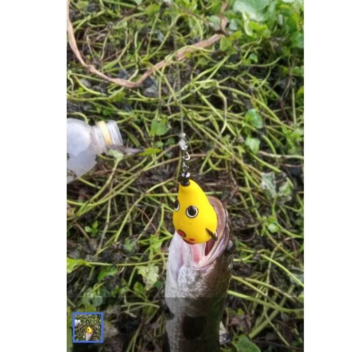 Minnow Sinking lure Curut 3cm