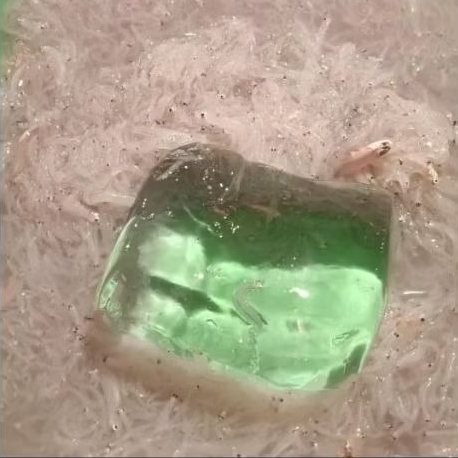 

Udang Medan 1kg/500grm