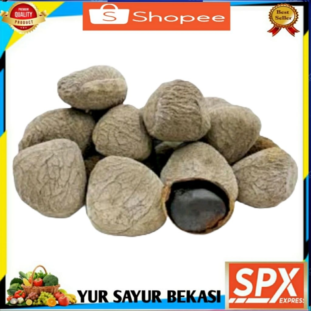 

Pucung/Kluwek Perbiji.