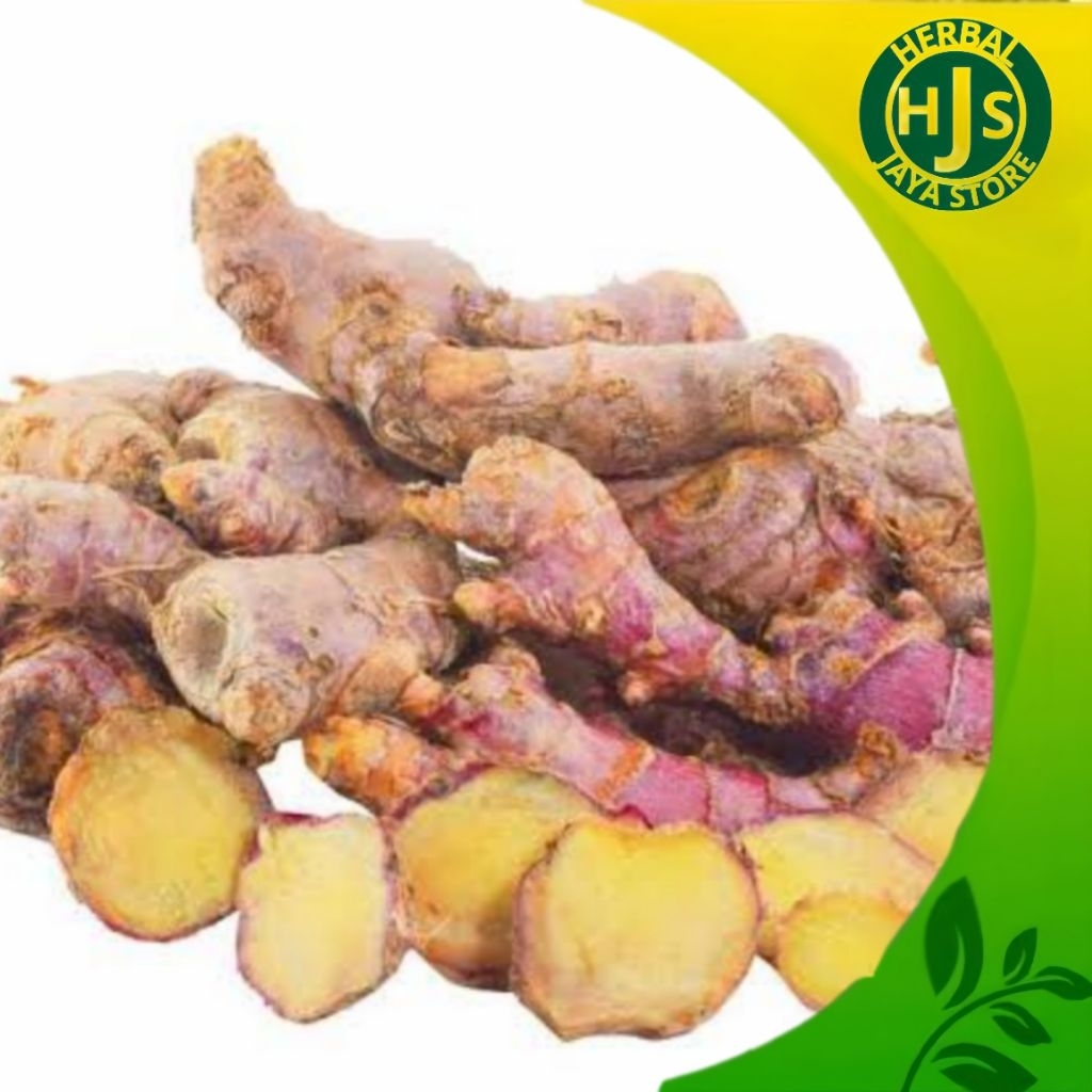 

Jahe Merah Segar 1kg Grade A - Jahe Murah