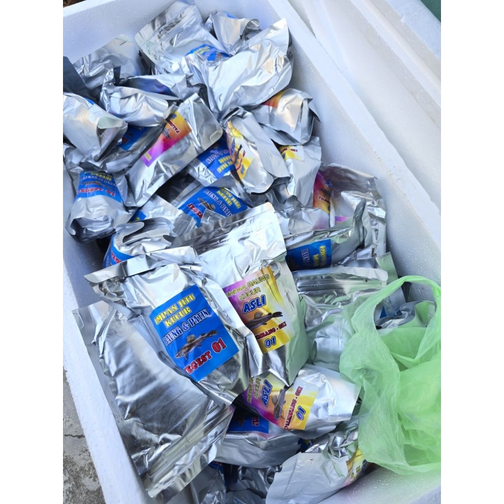 Umpan Kucur Palembang Oki dan Jegest 200gr