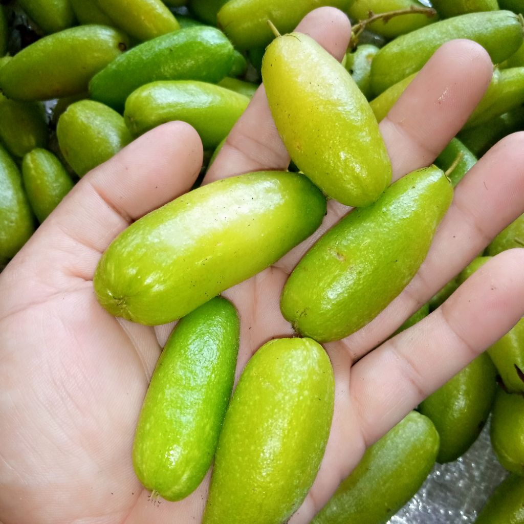 

Buah blingbing wuluh atau calingcing