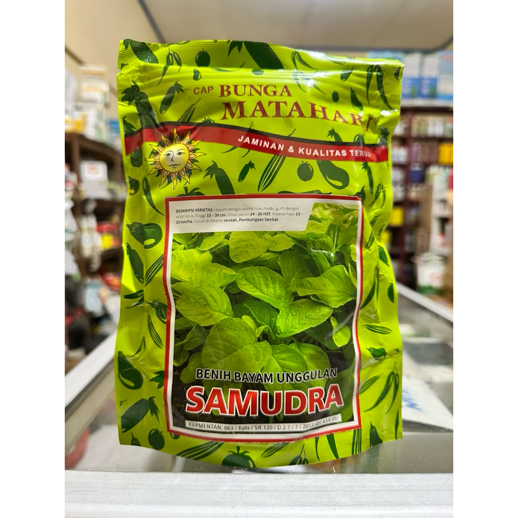 BENIH BAYAM SAMUDRA 500gram - BIBIT BAYAM SAMUDRA 500gram - Benih Bayam Cabut Potong Samudra