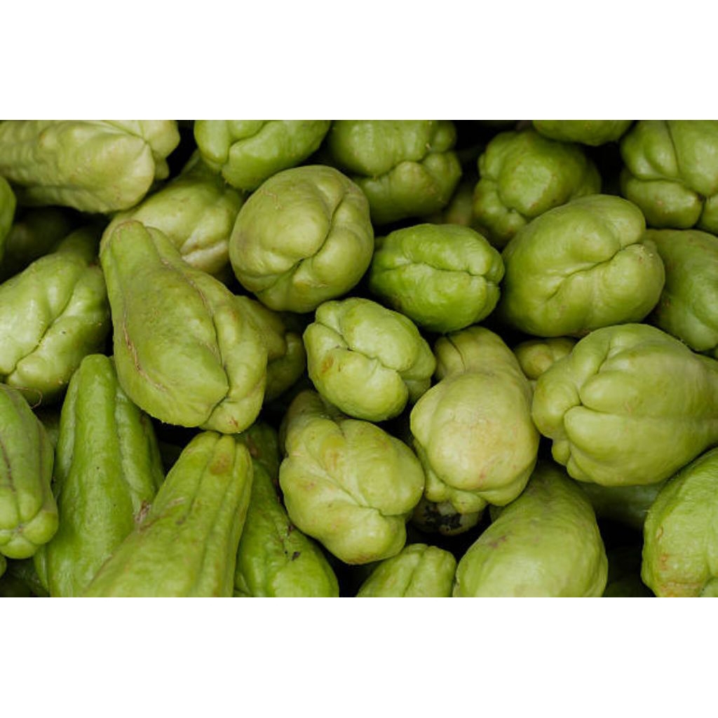 

Labu Sayur Besar Segar BERKUALITAS