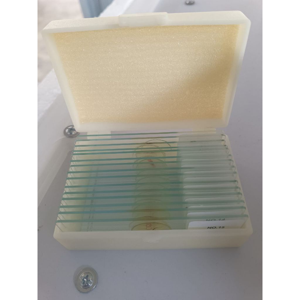 Preparat Parasitology Worm Set 15 Slides/ Parasitologi Cacing