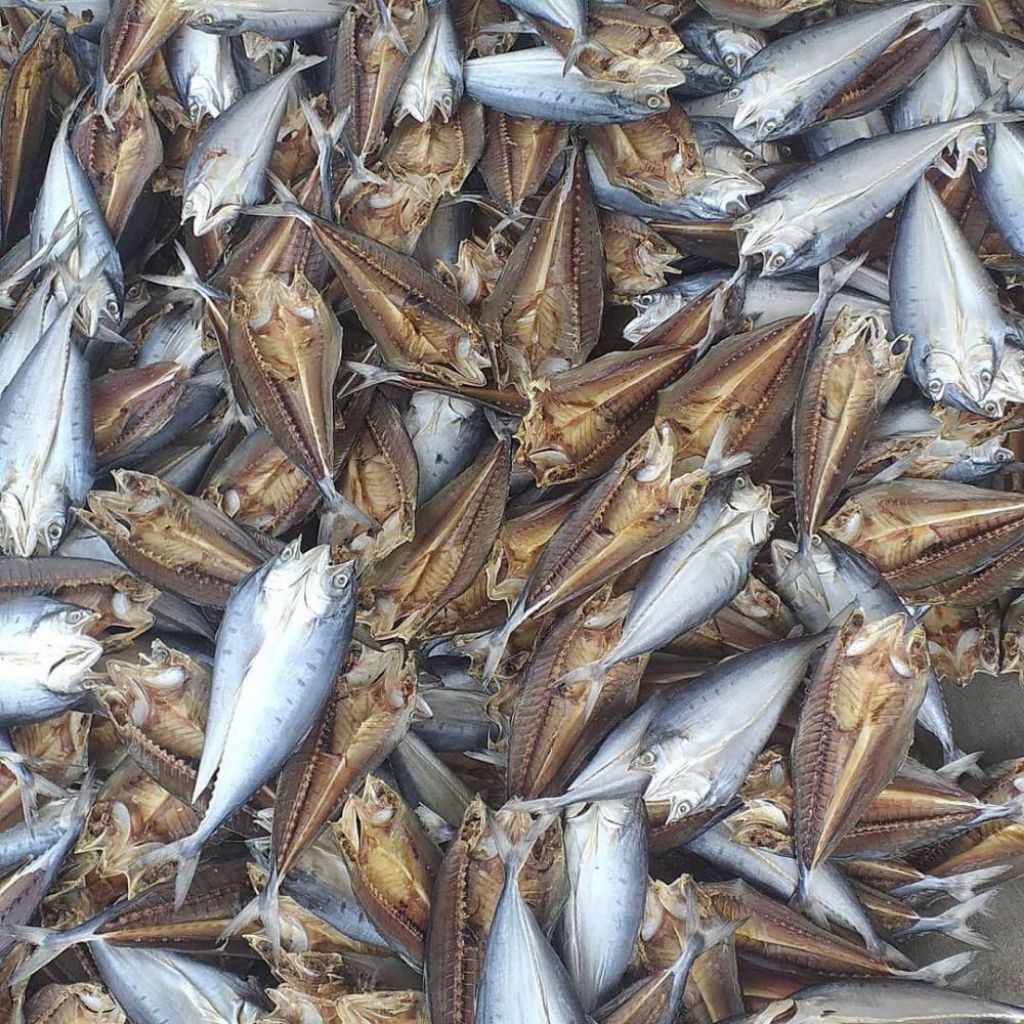 

IKAN ASIN LAUT MACAM-MACAM JENIS