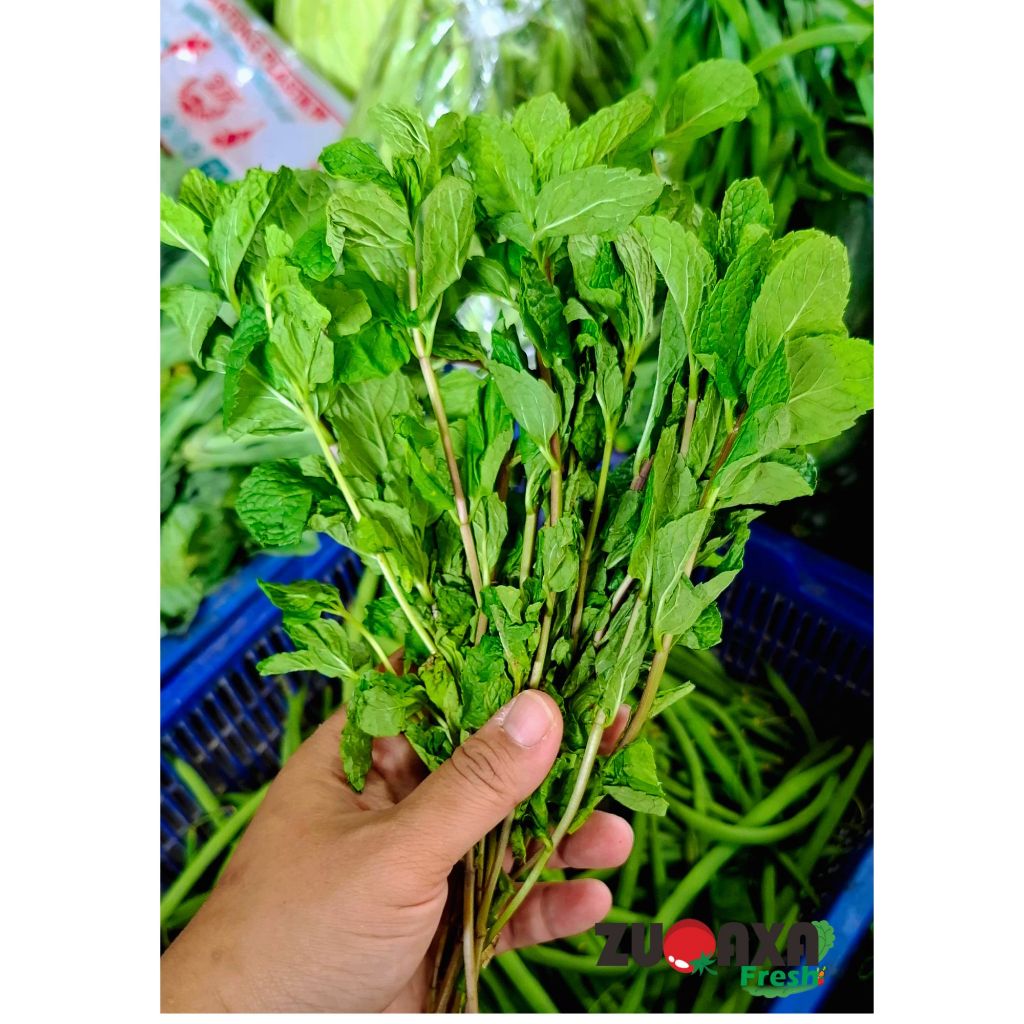 

Daun Mint 100 Gr