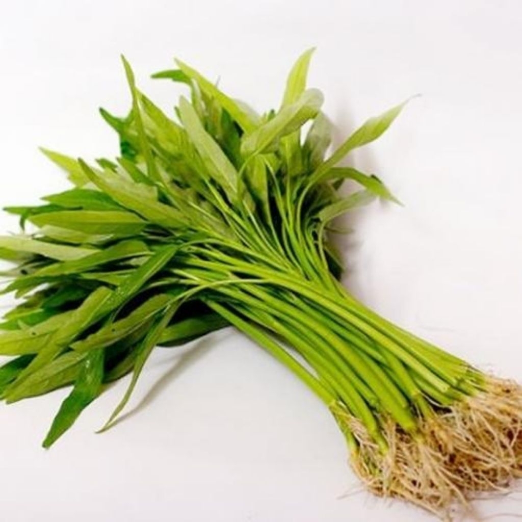 

Sayur Kangkung - 1 Ikat