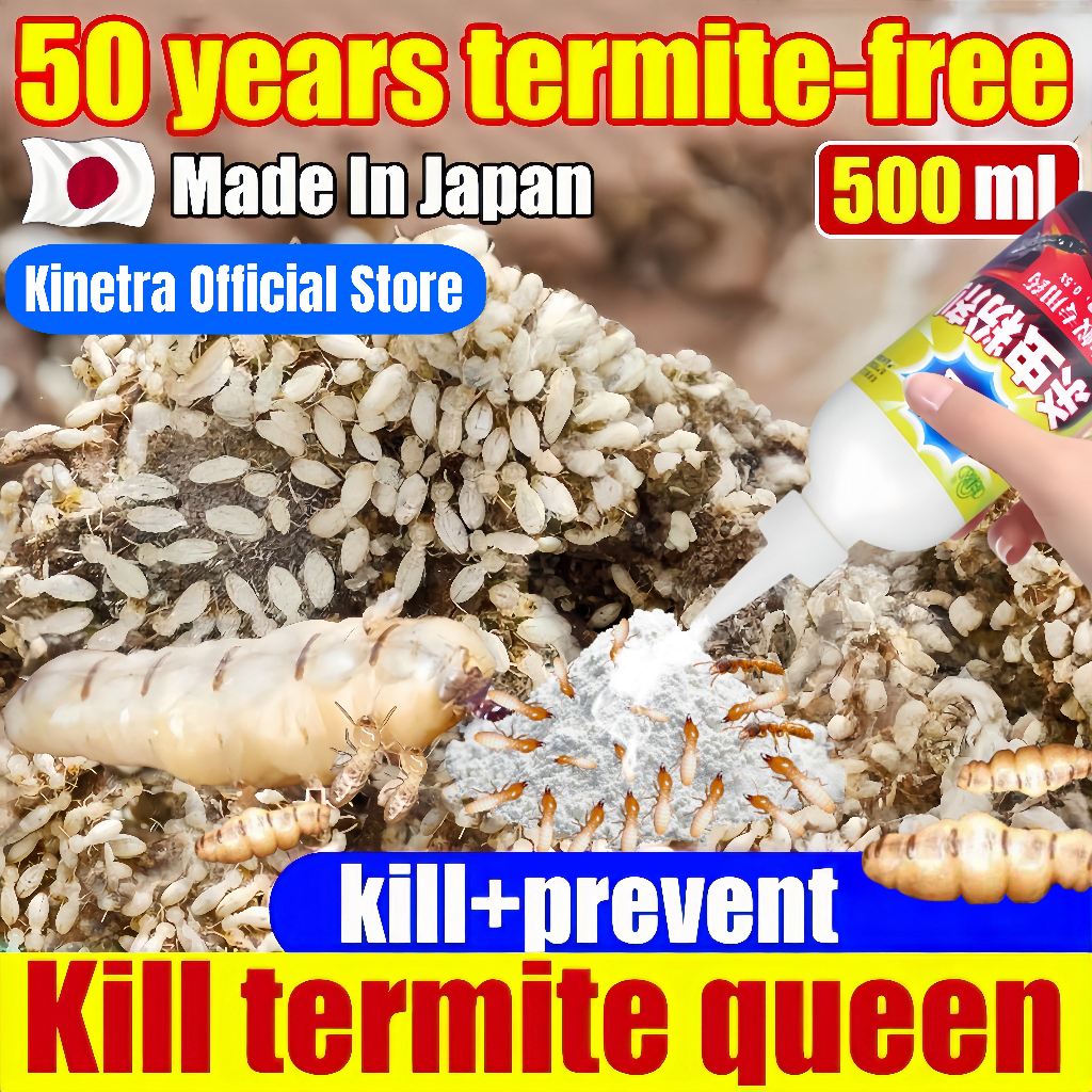 Tingkat pembunuhan rayap 100%   racun obat rayap paling ampuh untuk kayu tanah  sistem umpan rayap  