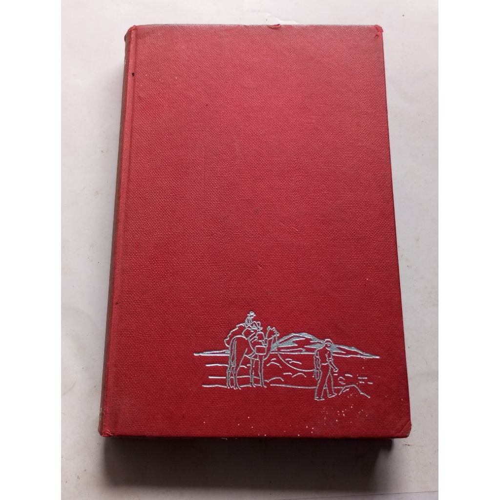 buku the silver city, buku berbahasa Inggris, novel bahasa inggris, buku bekas lawas