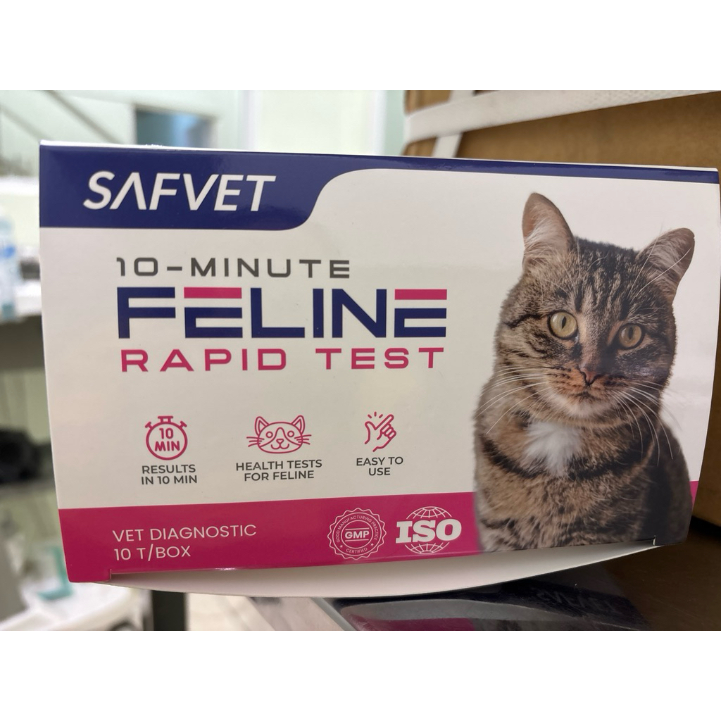 test kit Combo FPV FCoV FHV FCV