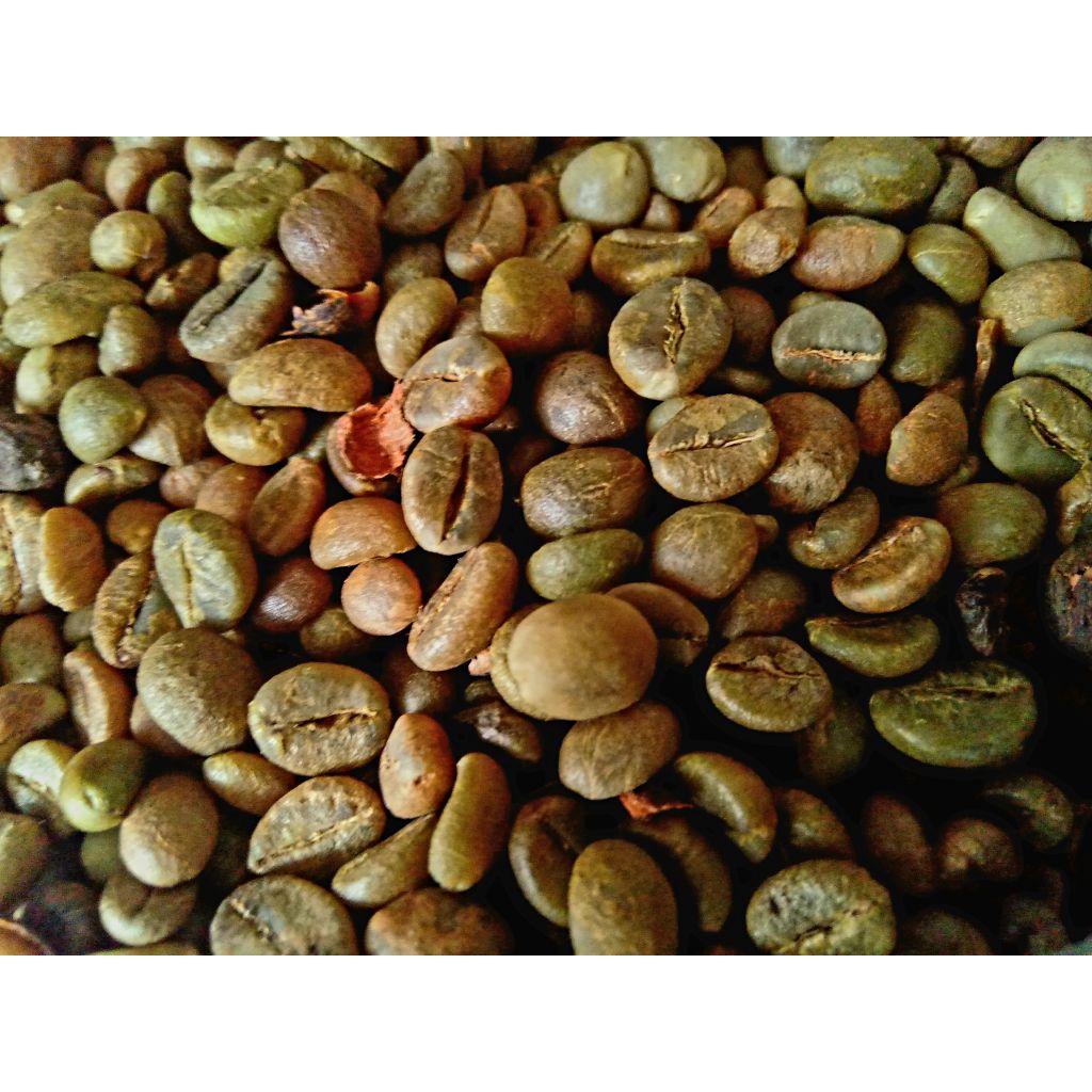 

Biji Kopi Robusta Mentah