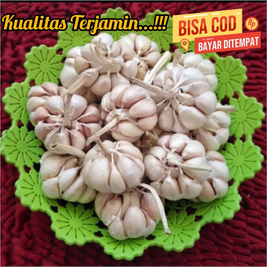 

BAWANG PUTIH SINCO BERAT 500g dan 1kg Bawang Putih Sinco Kualitas Pilihan