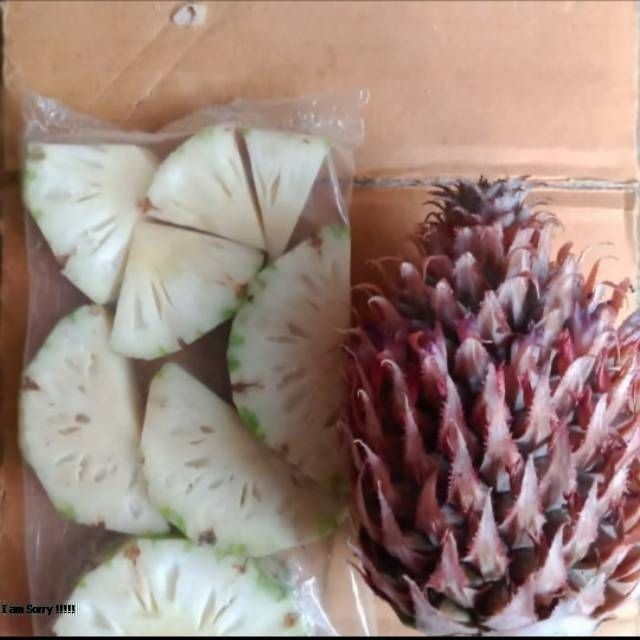 

Nanas Muda Buah Nanas Muda Pelancar Haid Mujarab