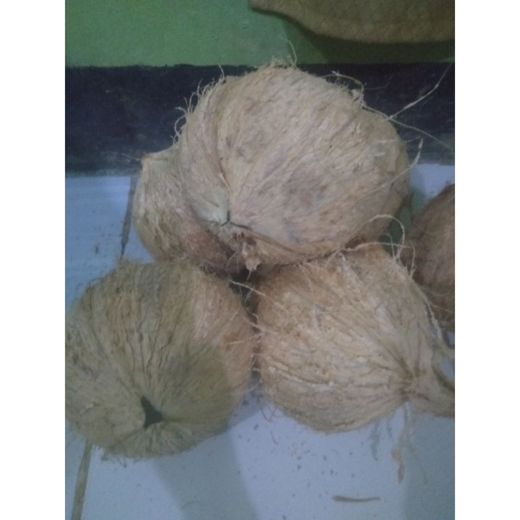 

di order kelapa tua per 1 butir
