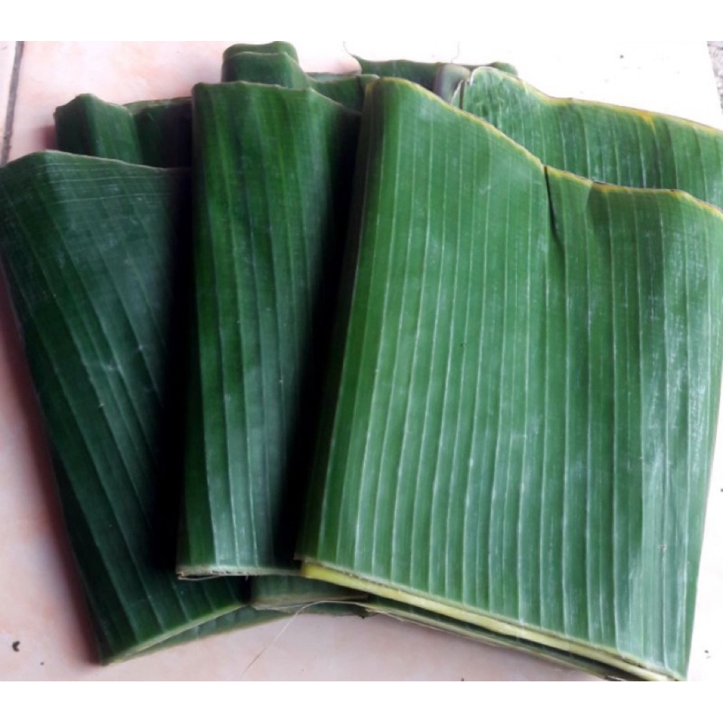 

Daun Pisang | 250 | untuk Bungkus Makanan