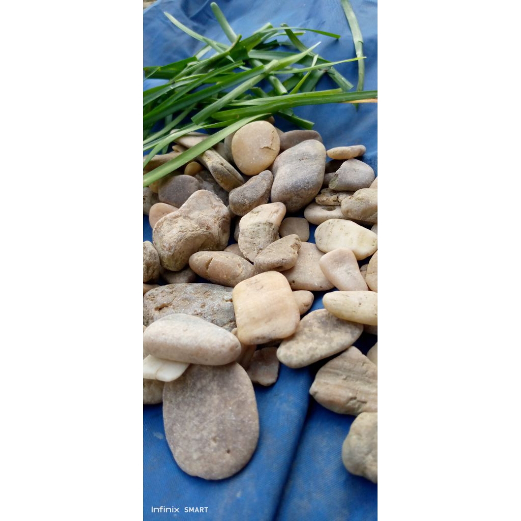 batu hiasan tanaman 500gram/batu koral