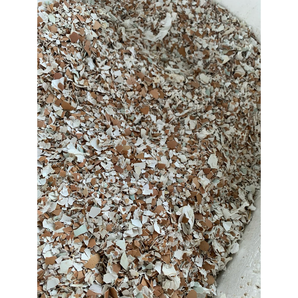 Kulit Telur / Cangkang telur 1Kg