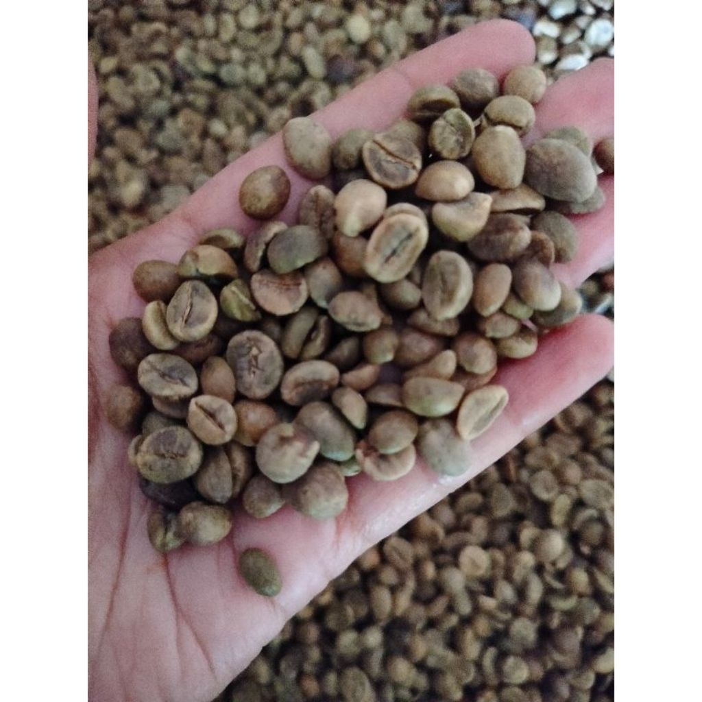 

Kopi Robusta 1 kg