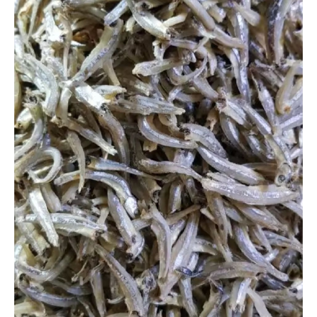 

ikan asin teri jangki murah