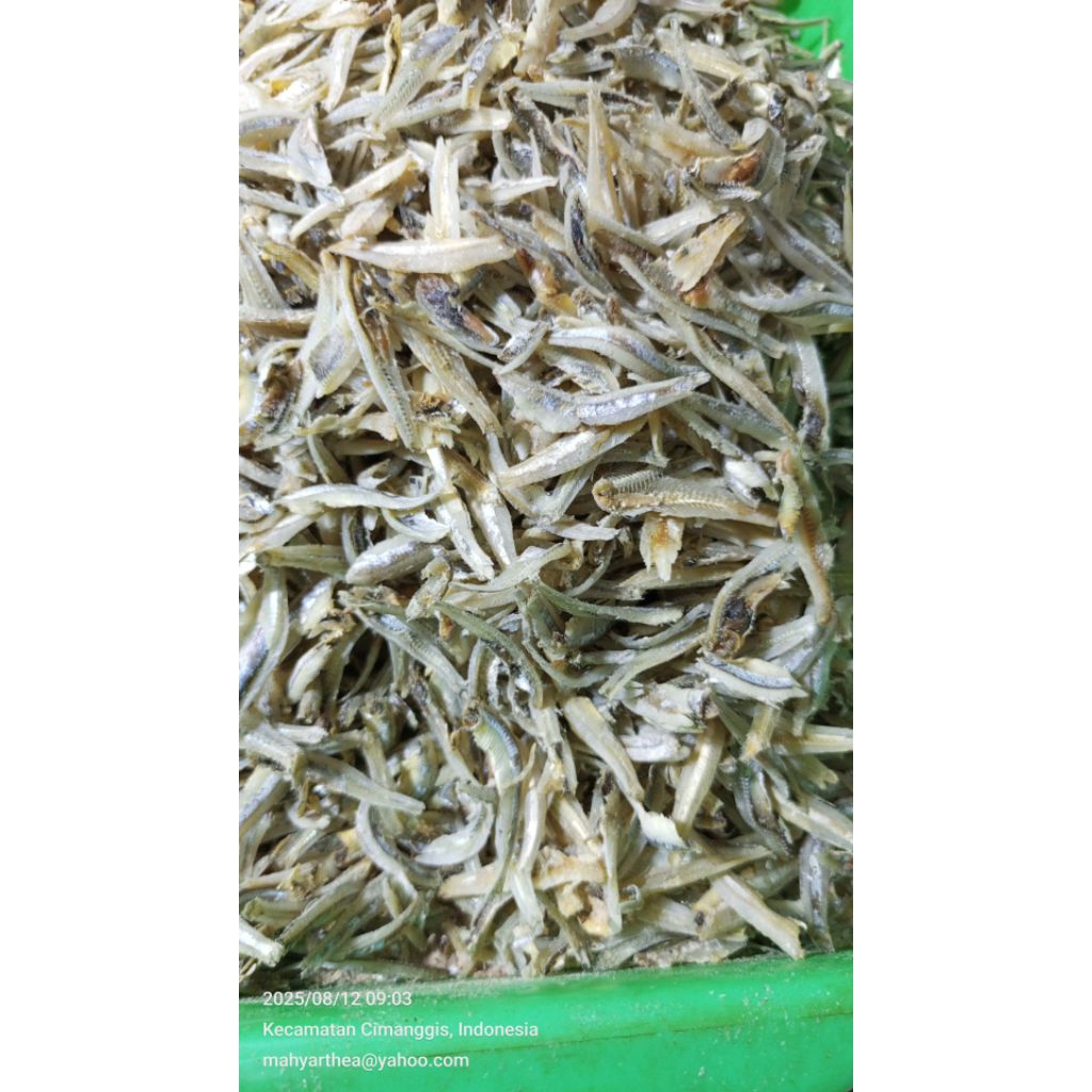 

ikan teri belah super