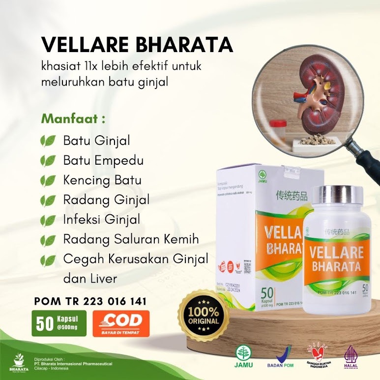 Obat Batu Empedu - Obat Kencing Batu - Obat Batu Ginjal - Obat Memecah Batu Ginjal - Vellare Bharata