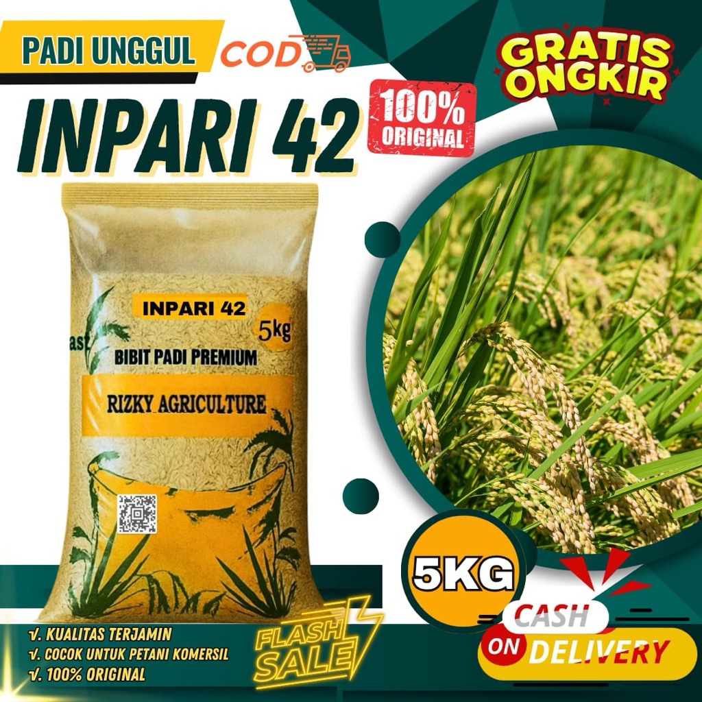 BENIH PADI BIBIT PADI INPARI 42 UNGGUL 5KG