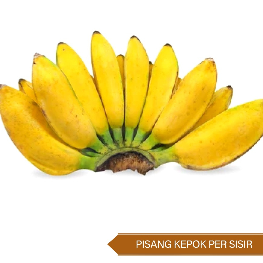 

Pisang Kepok Per Sisir