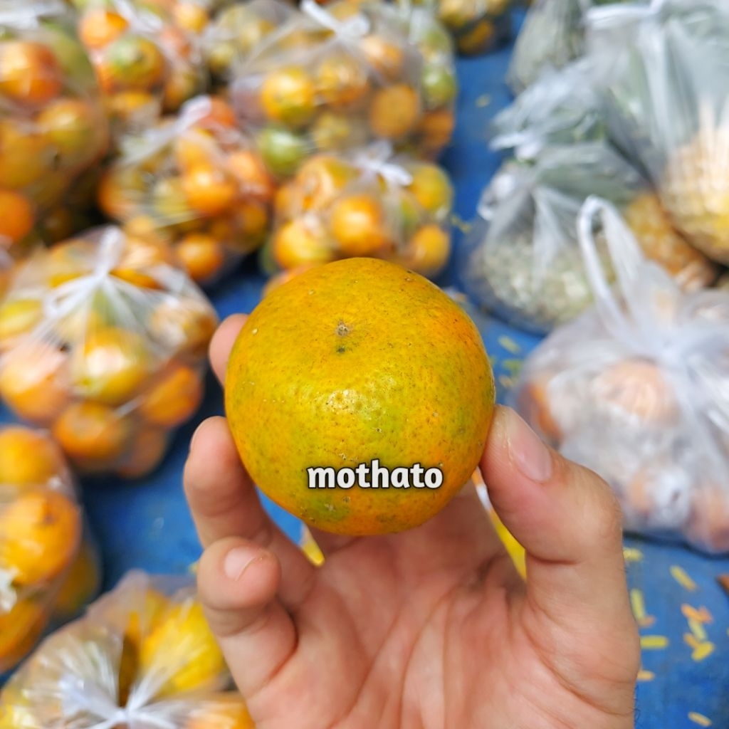 

JERUK MANIS SEGAR 1Kg – Manis Alami, Segar, dan Kaya Vitamin C