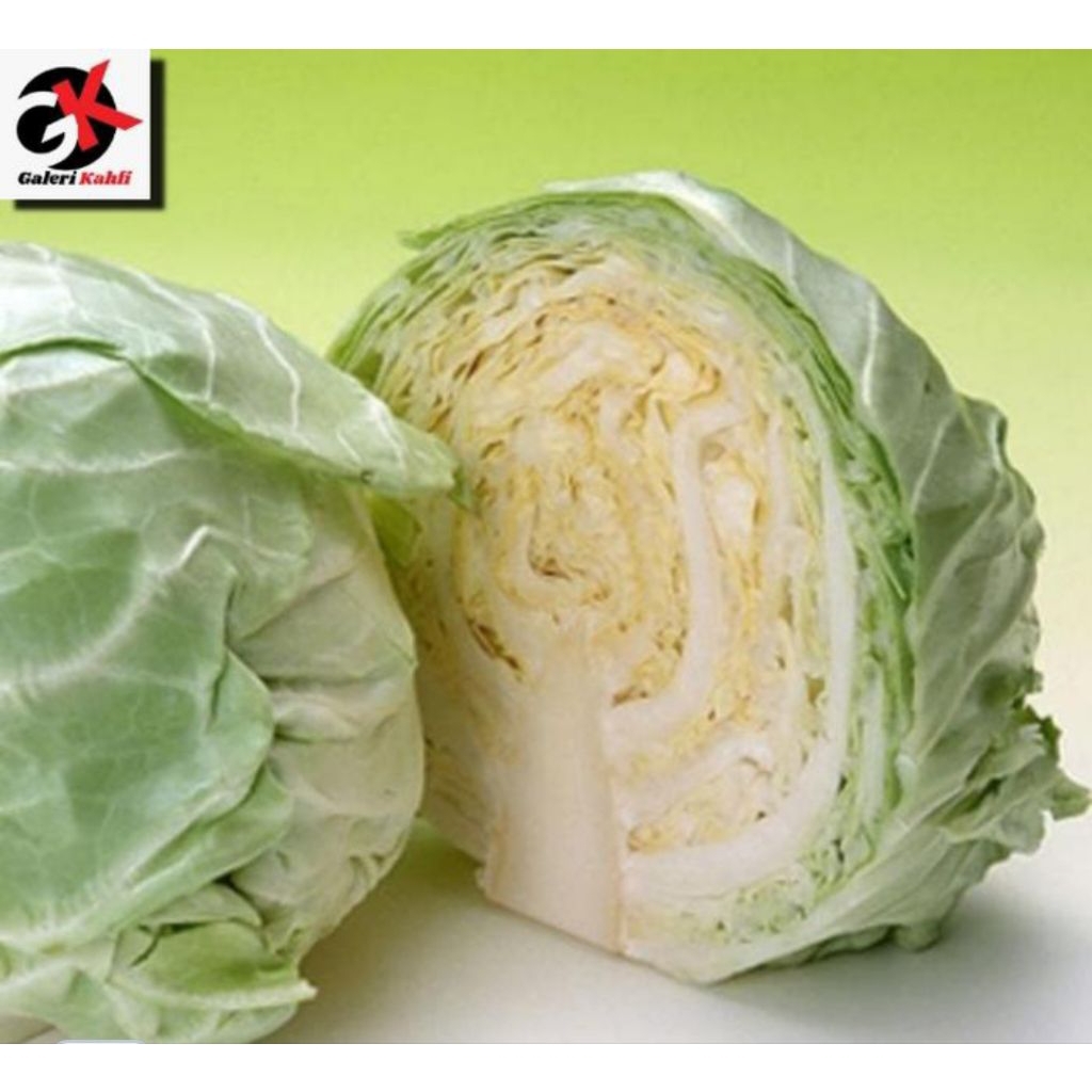 

Sayur Kol Fresh Berkualitas - 500gr