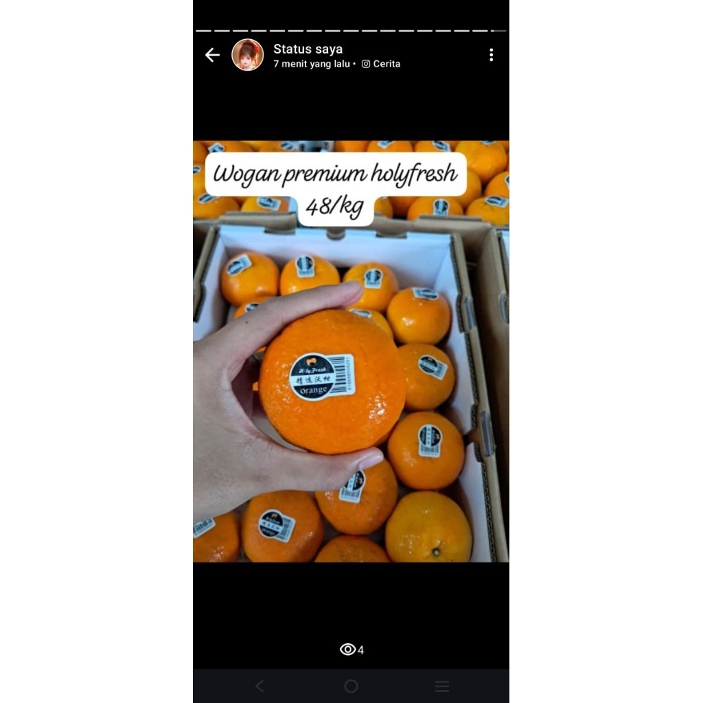 

Jeruk Holyfresh sz 80