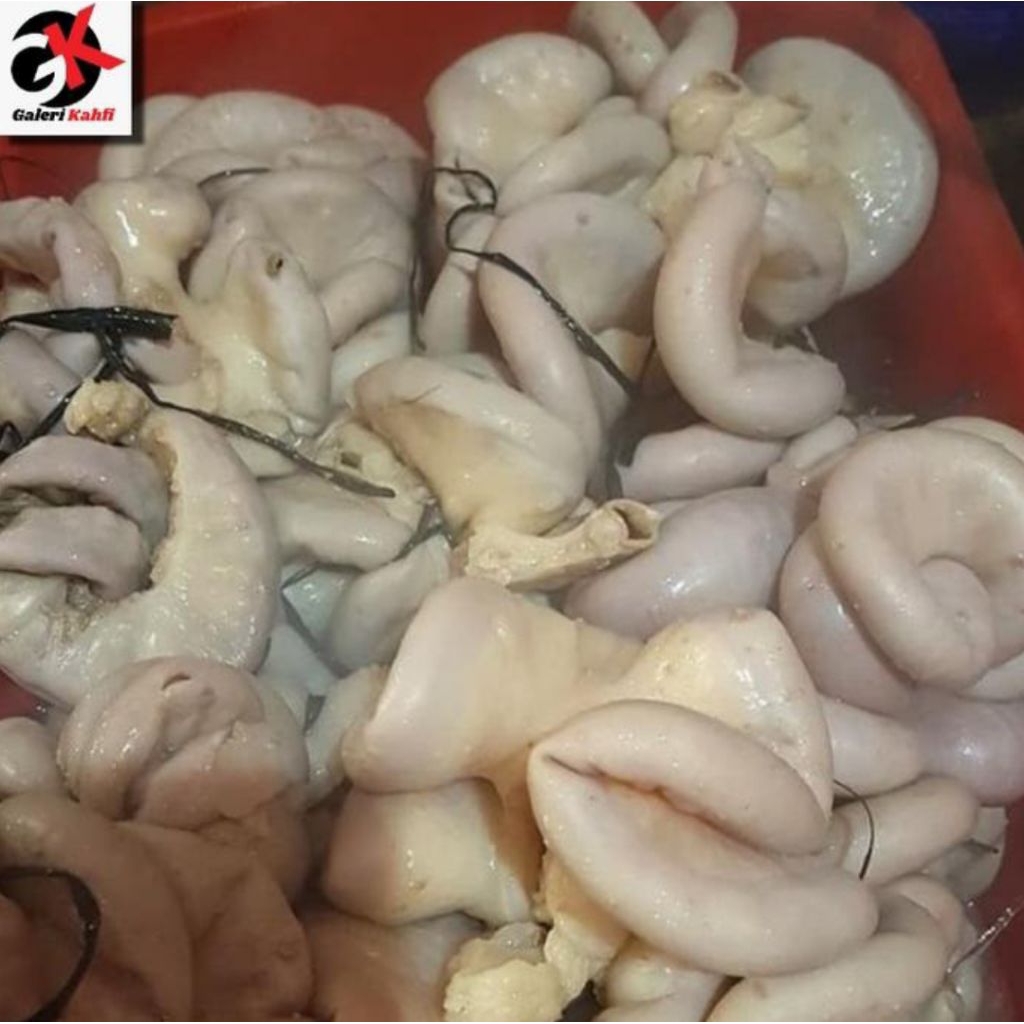 

Iso Sapi / Usu Sapi Fresh Berkualitas - 500gr