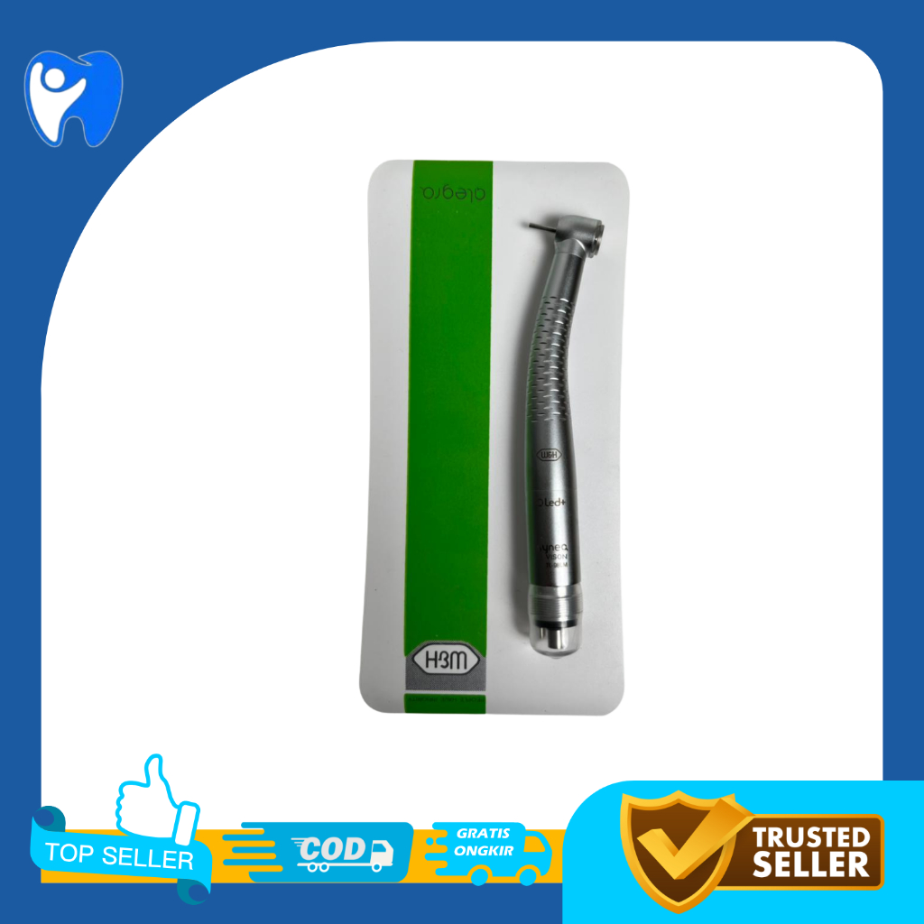 handpiece WnH LED alerga