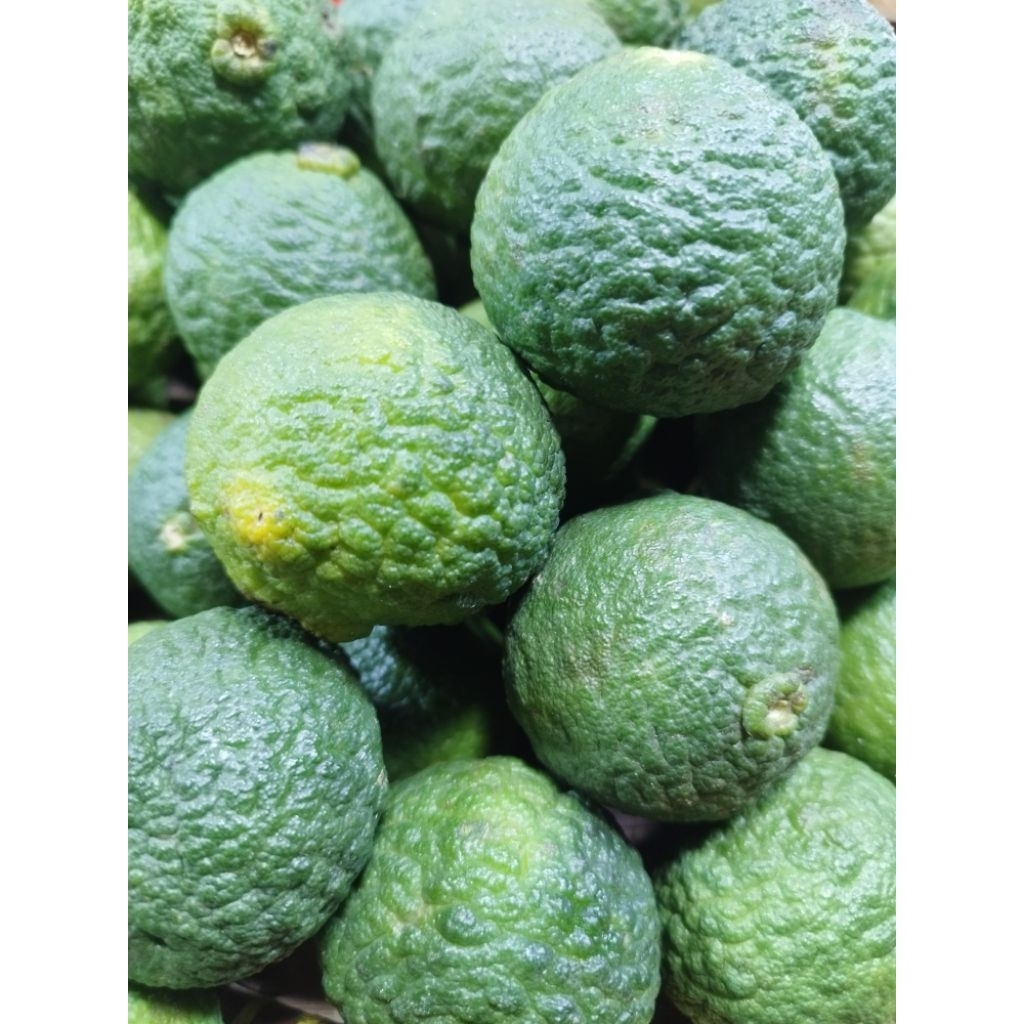 

Asam Jungga/Jeruk Jungga/Sunde 1buah