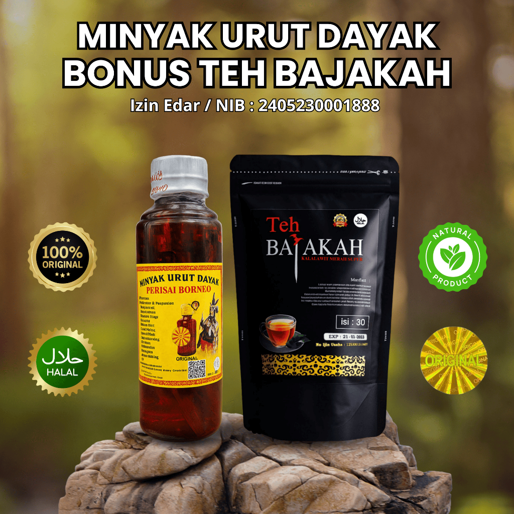 Minyak Urut Dayak 100% Asli Akar Kayu Terbaik Kalimantan Rajanya Minyak Urut+Teh Bajakah / Original