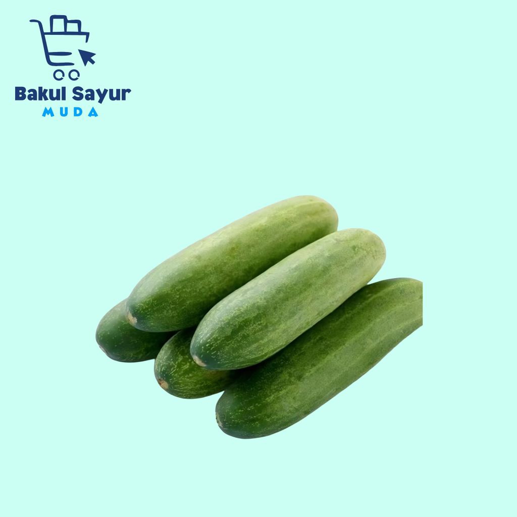 

Baby Timun Segar Timun Lalap Segar 250 Gram