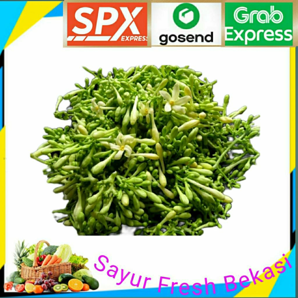 

Kembang Pepaya/Bunga Pepaya 200gr.