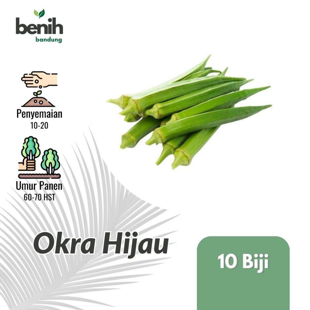 10 Biji - Benih Okra Hijau Sayuran Unggul Buah Lebat
