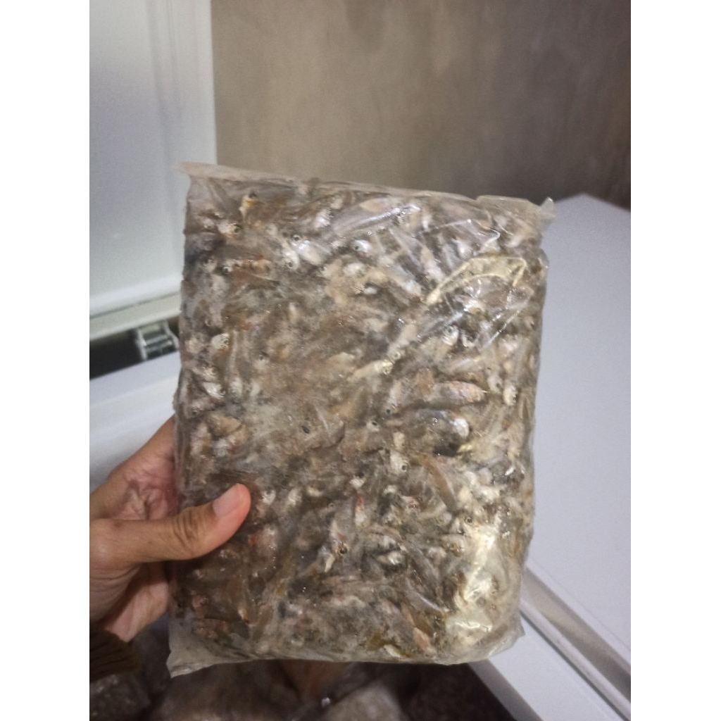 

Titik Frozen | Wader laut ori 1kg