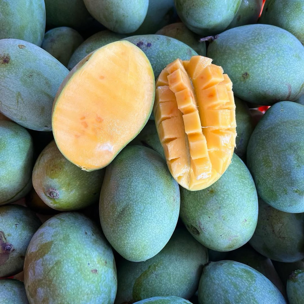 

MANGGA MANALAGI MANIS MATANG FRESH