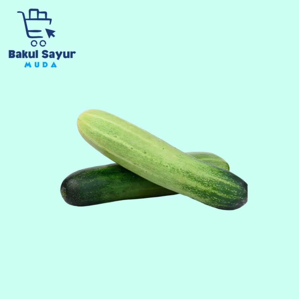 

Timun Besar Segar 500 Gram Timun Segar 250 Gram