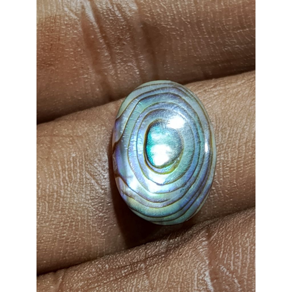 

batu porsil kerang ijo